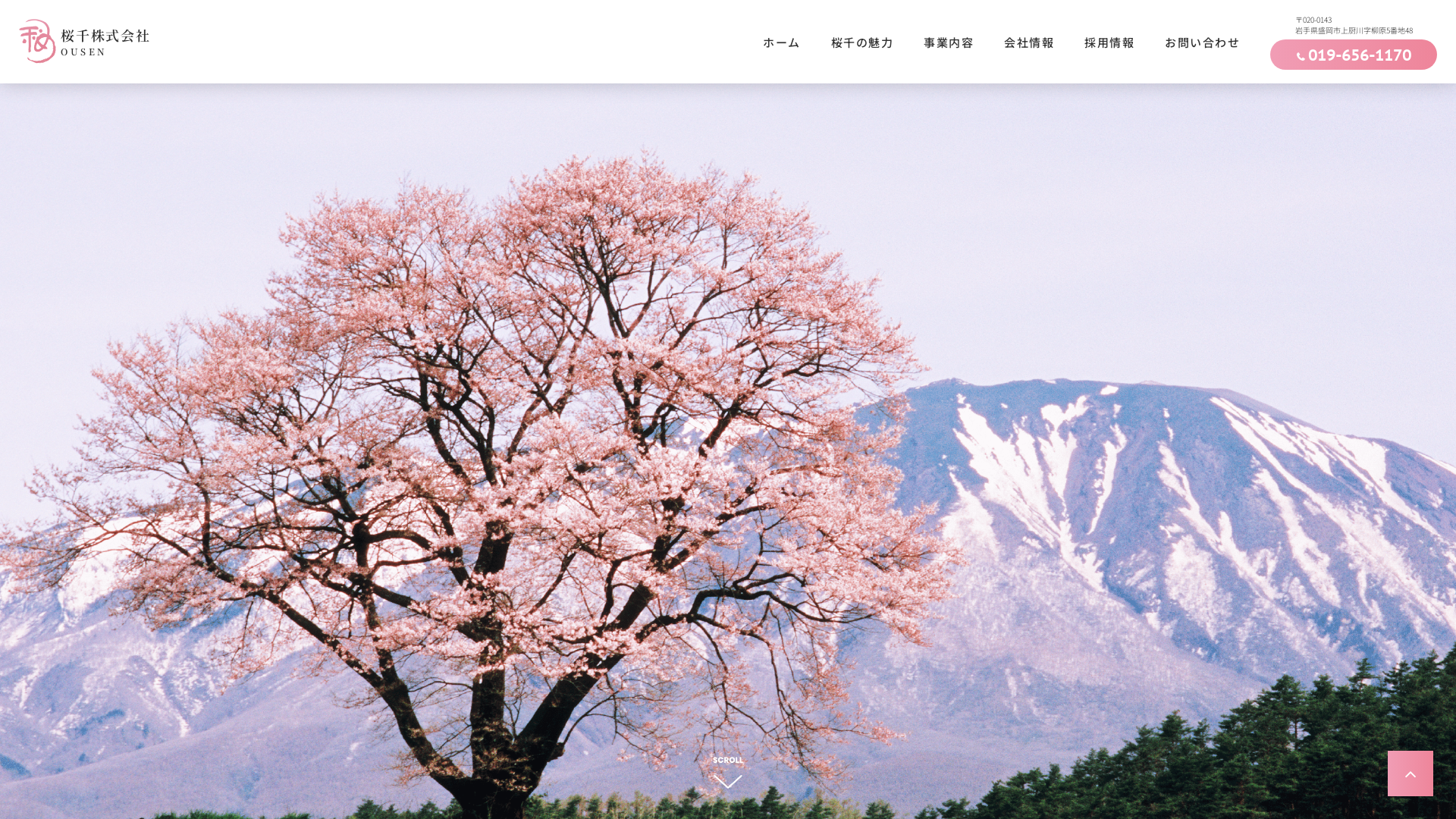 桜千㈱のメイン画像